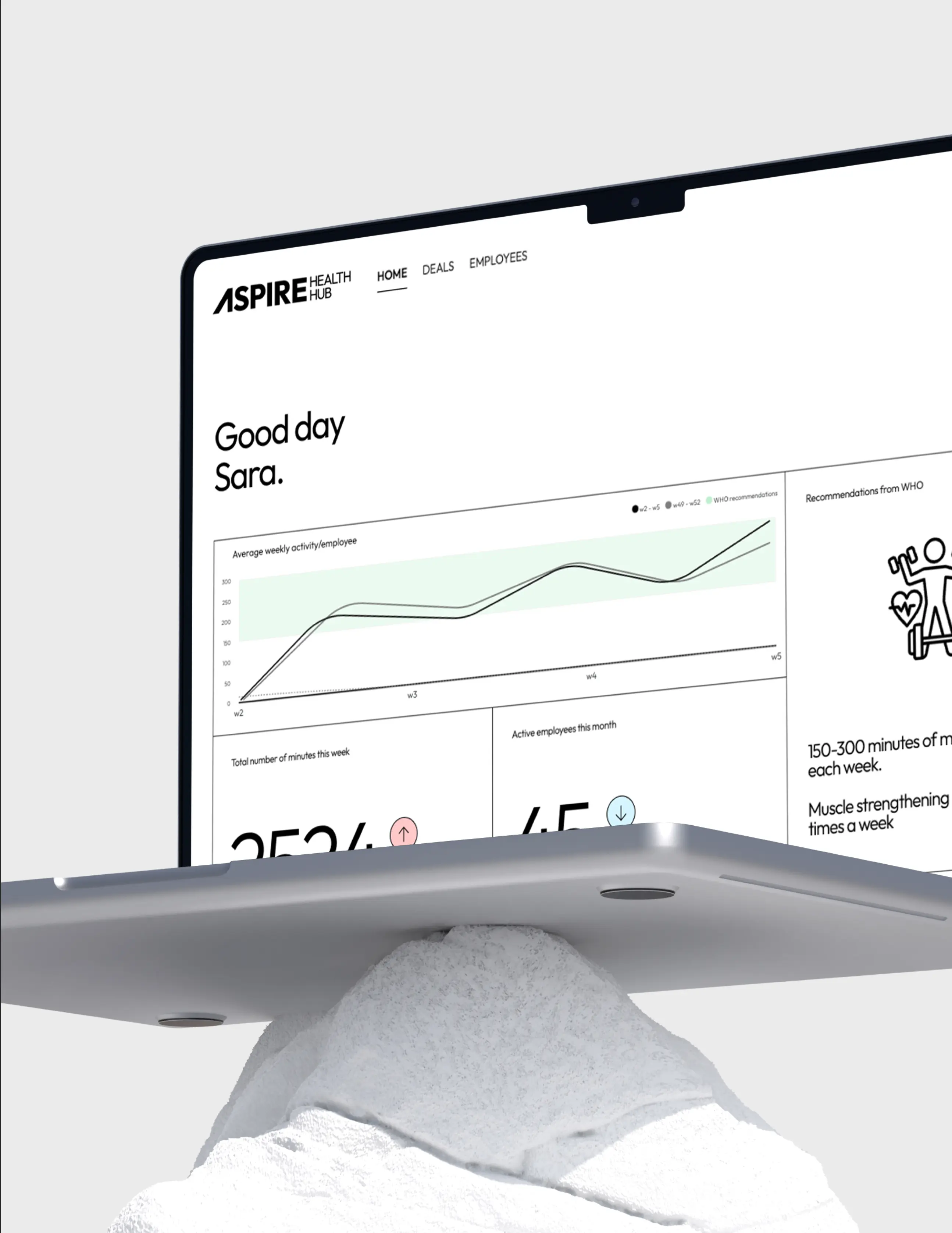 Laptop standing on a rock